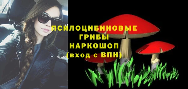 кристаллы Гусь-Хрустальный