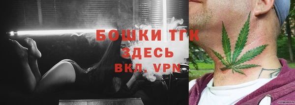 кристаллы Гусь-Хрустальный