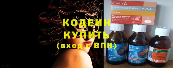 ПСИЛОЦИБИНОВЫЕ ГРИБЫ Горнозаводск