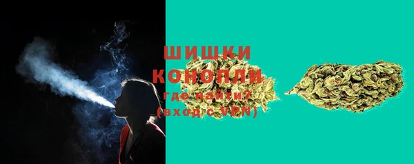 кристаллы Гусь-Хрустальный