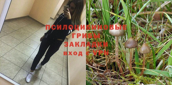 молекула духа Гусев